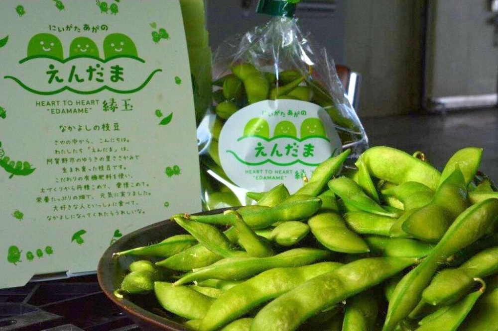 阿賀野市産えだまめ 「えんだま」 2kg 2P03014