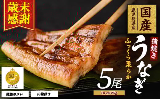 
            【歳末感謝】【鹿児島県産】うなぎ蒲焼じっくり焼き約125g×5尾 化粧箱入り(大新/026-1903) 鰻 ウナギ 蒲焼 国産 丑の日 うな重 無頭 ギフト プレゼント 贈り物 贈答 惣菜 総菜 小分け レンジ 簡単 蒲焼き 冷凍 鹿児島県産
          