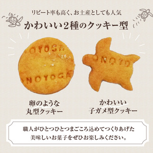J01018 海がめ塩クッキー充実BOX (57枚+子がめクッキー3枚) 箱入り