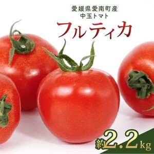 フルティカ 約2.2kg 大瀧農園 トマト 完熟トマト 野菜 産地 直送 人気 国産 愛媛県 愛南町 発送期間：2026年3月1日～7月頃まで（※なくなり次第終了）