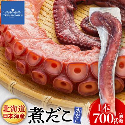 ふるさと納税 天塩町 北海道天塩町 煮たこ 足 700g前後＜天塩の國＞