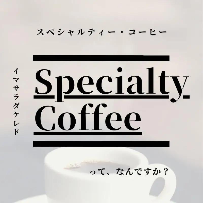 スペシャルティコーヒー焙煎豆 浅煎り 300g 定期便 全12回 12か月【毎月配送コース】