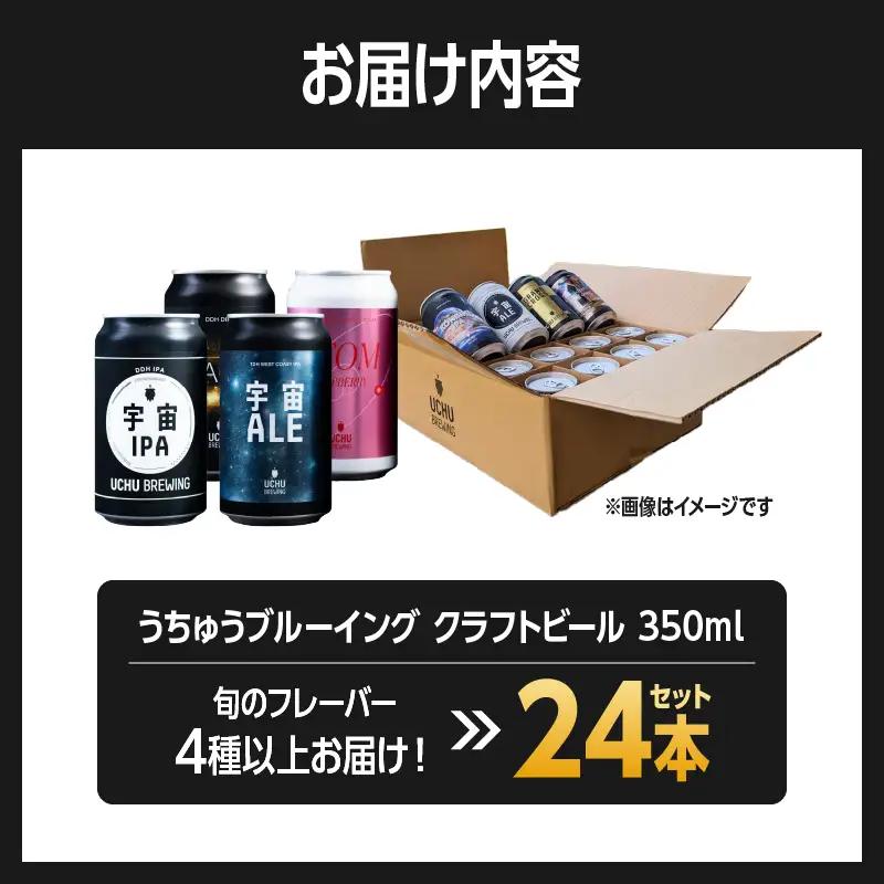 うちゅうブルーイング クラフトビール 24本セット [h131]