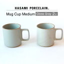 【ふるさと納税】【HASAMI PORCELAIN】マグカップ グロスグレイ 2点セット【東京西海】 [DD196]