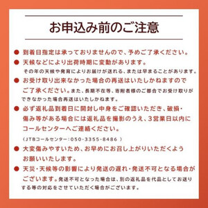 鬼の とまと ※2026年6月上旬～10月下旬頃に順次発送予定 トマト 