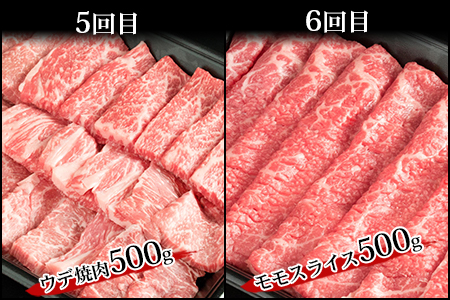 【定期便 6回】受賞歴多数!! 宮崎牛を6ヶ月で合計3.25キロ 宮崎牛づくし