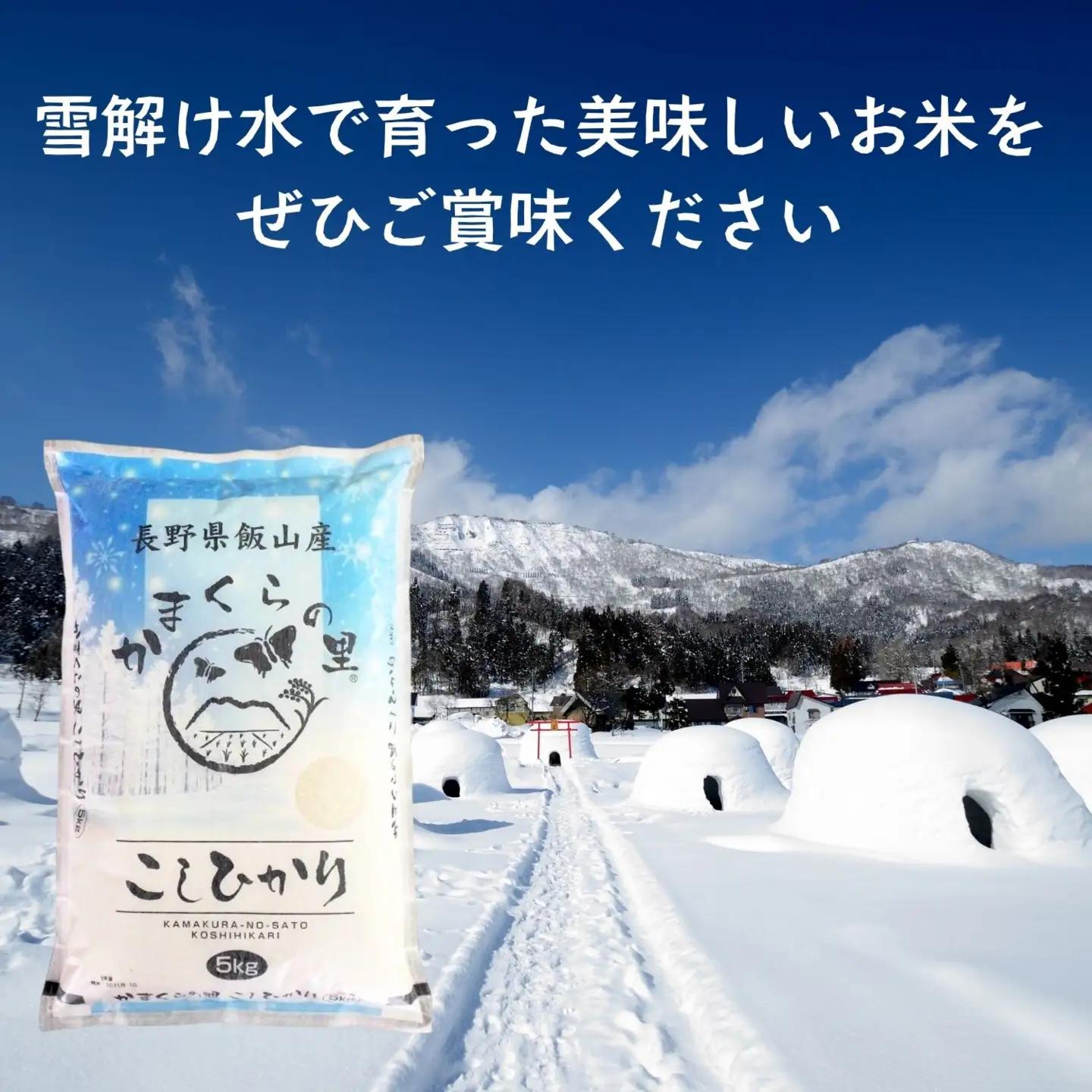 【新米予約】《定期便》＼ 2027年1月より6回 ／   10㎏ 6回 特別栽培米 「かまくらの里 コシヒカリ」