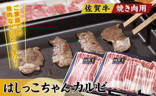 佐賀牛 焼き肉用 はしっこちゃん カルビ 500g × 2パック 計1㎏ _b-293