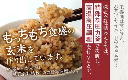  訳あり 白川村産 寝かせ玄米もち麦ごはん 24個 パックごはん パックご飯 パックライス レトルト 白川郷 こしひかり コシヒカリ 訳アリ 常温 防災 こめ コメ 新生活 応援 こだわりの お米 岐