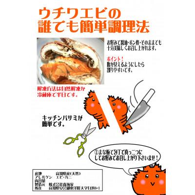 ふるさと納税 東洋町 ウチワエビボイル!500g!あとは食べるだけ! |  | 01
