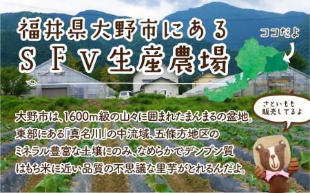 みんなのアイス 12個セット（ 卵・牛乳・小麦等アレルギー特定原材料8品目不使用のアイス ） [A-031004]