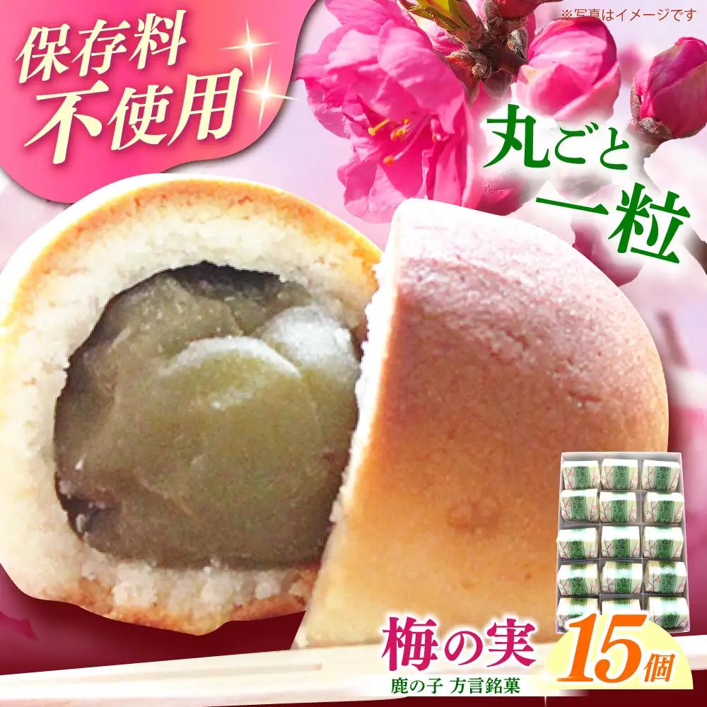 和菓子 築上銘菓「梅の実」15個 [ABAC004] 和菓子