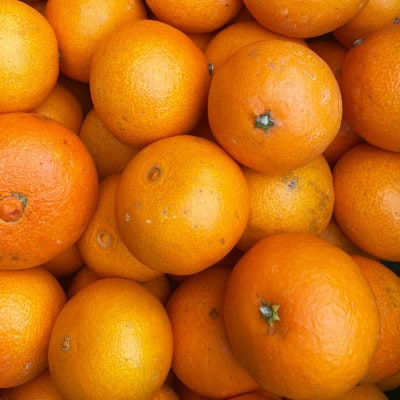 【訳あり】紅まどんな と同品種!愛果28号 7kg【H25-363】【1716687】