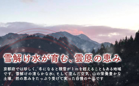 白米 精米 令和7年産 雲原のむすび米 コシヒカリ (5kg)  白米  精米【fc-EP001】