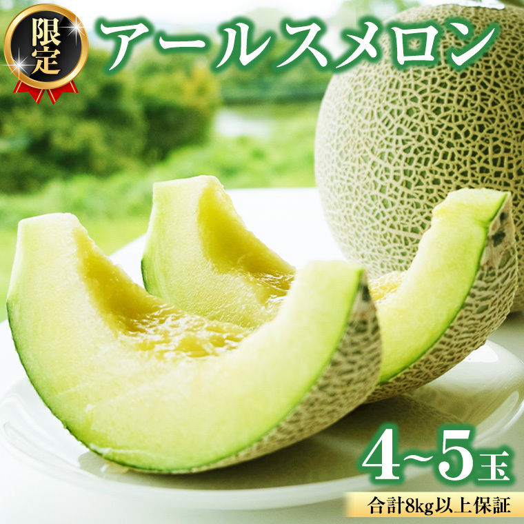 【2026年8月下旬発送開始】 季節 限定 ！甘さ満点 アールスメロン 大箱 （ 4〜5玉 ） 果物 フルーツ 農家直送 産直 青肉メロン 特産品 マスクメロン メロン くだもの 茨城 [BC046sa]
