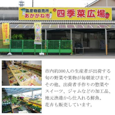 ふるさと納税 新居浜市 【新米 令和7年産】えひめ未来農業協同組合 ブランド米 「新居の恵み (コシヒカリ) 」10kg |  | 01