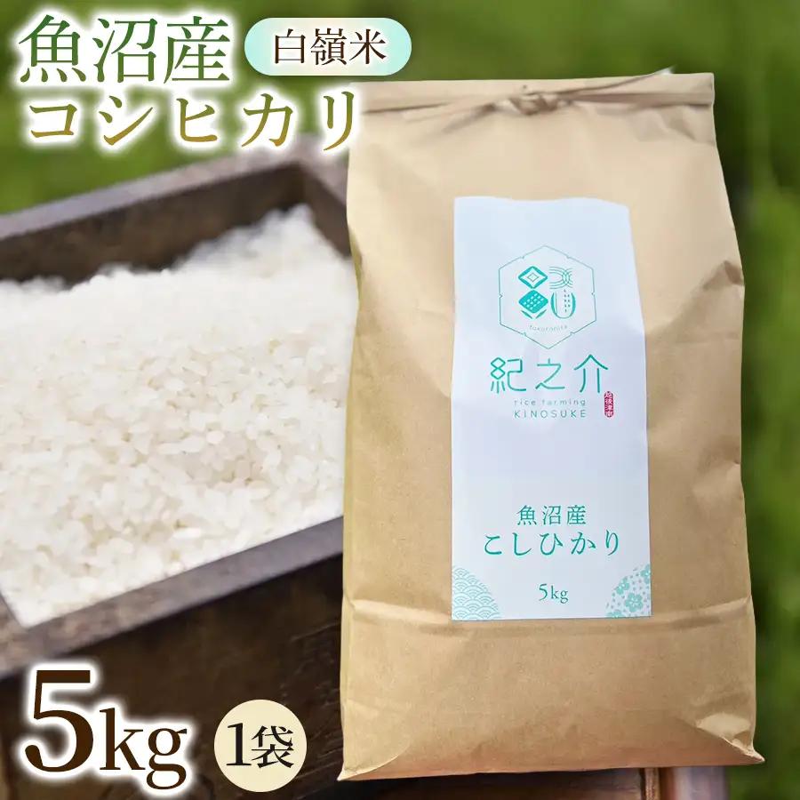 【令和8年産先行予約】魚沼産コシヒカリ 白嶺米 5kg(5kg×1袋) | 津南町 魚沼