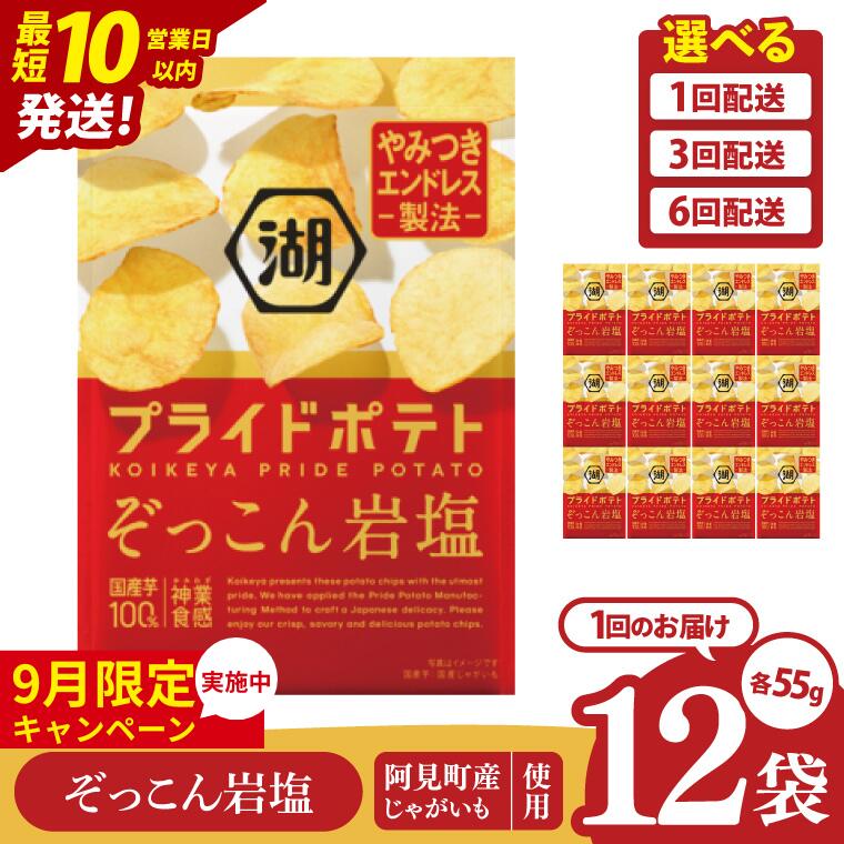 【ふるさと納税】【9月限定価格】【選べる定期便回数】湖池屋 プライドポテト ぞっこん岩塩 55g×12個|お菓子 おかし おやつ スナック スナック菓子 菓子 ポテチ 大容量 おつまみ じゃがいも（93-148）