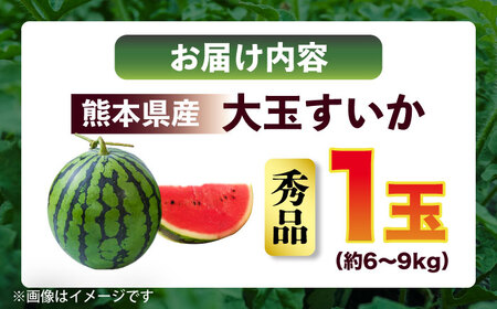 【先行予約】　大玉すいか 秀品 1玉 約6kg～9kg 【株式会社 Foody’s】[AYAT006]