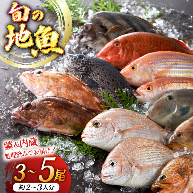 【ふるさと納税】 魚 地魚 詰め合わせ 3〜5尾 [平戸瀬戸市場 長崎県 平戸市 hr42bgy420531] 下処理済み 鮮魚 セット 朝獲れ 旬 海鮮 新鮮 海の幸 獲れたて