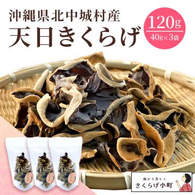 ふるさと納税 北中城村 天日きくらげ【40g×3袋】　きくらげ小町