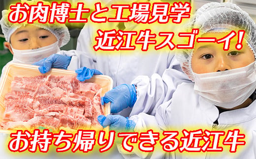 お肉博士と工場見学　近江牛スゴーイ！～お持ち帰りできる近江牛500g付～【CB13U】