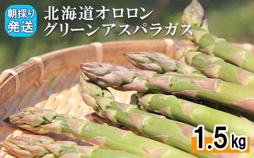 【朝採り発送】北海道オロロングリーンアスパラガス 1.5kg（露地物） グリーンアスパラガス アスパラガス アスパラ グリーンアスパラ 1.5kg  朝採れ オロロン 新鮮 野菜 露地  北海道 羽幌町 羽幌 ふるさと納税【0410501】