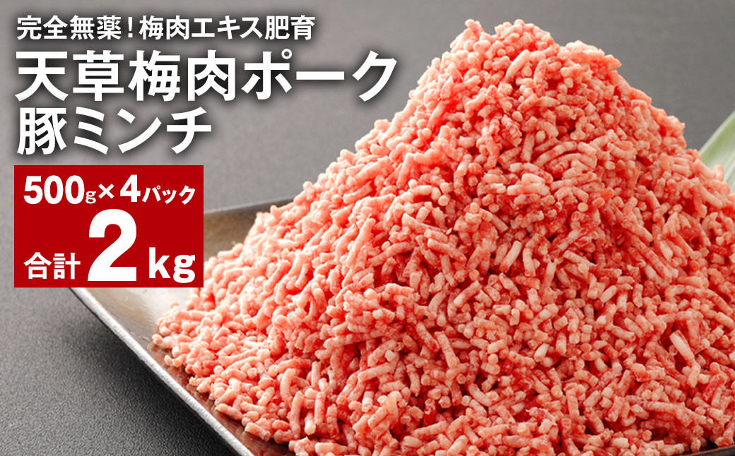 
            完全無薬！梅肉エキス肥育 天草梅肉ポーク 豚ミンチ 計約2kg（500g×4パック） 豚肉 お肉
          