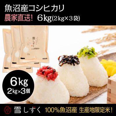 ふるさと納税 十日町市 令和7年産!魚沼産コシヒカリ 雪しずく【農家直送!】 精米6kg(2kg×3袋)