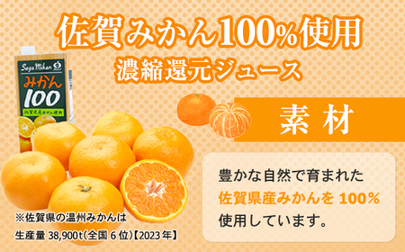 佐賀県産みかん使用 みかん100（ 紙パック 1L×6本）A095-017 温州みかん 天然 果汁100% ビタミンC 酸味 甘み みかん ジュース 佐賀県 小城市
