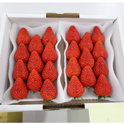 紅ほっぺセット(6パック)【配送不可地域：離島・北海道・沖縄県・四国・九州】