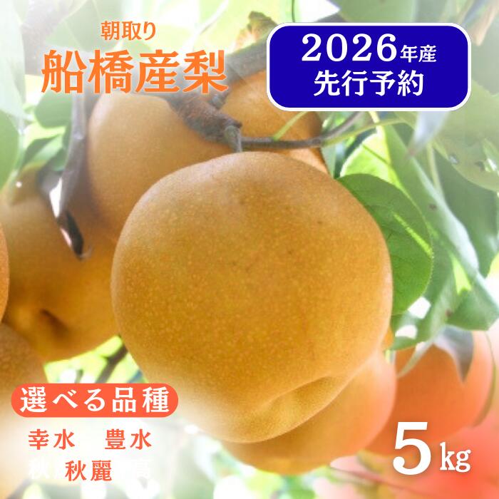 【ふるさと納税】\ 寄付額 改定 / 先行予約 梨 なし 船橋のなし 幸水 豊水 秋麗 5kg おすすめ 千葉県 2026年発送 ※お届け日指定不可 い志い農園 予約