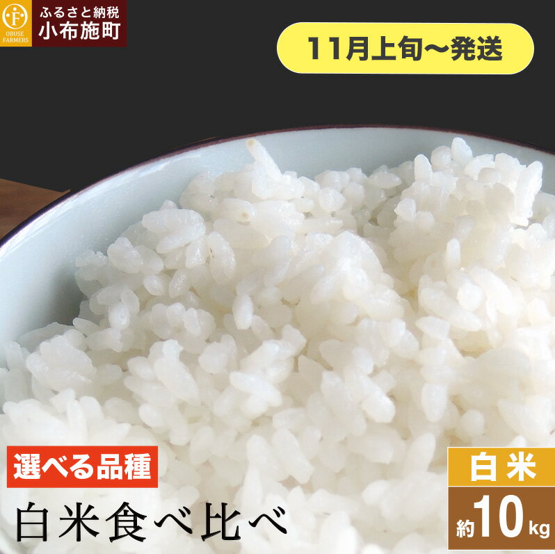 【ふるさと納税】 白米食べ比べ 約10kg 選べる品種 コシヒカリ 風さやか ミルキークイーン ［ おぶせファーマーズ ］ お米 コメ おこめ ご飯 精米 長野県産 2種【2025年11月上旬～発送】