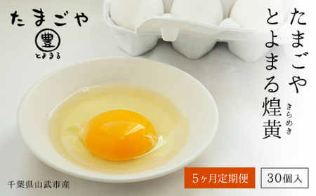 5ヶ月定期便 たまごやとよまる 煌黄30個 SMAS020 千葉県 山武市 卵 たまご タマゴ