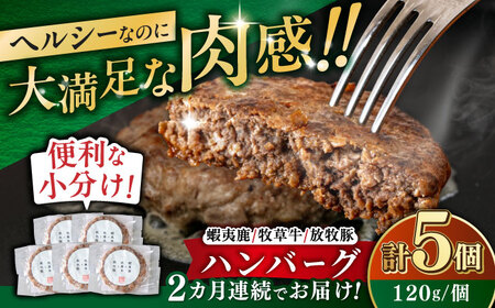 【全2回定期便】【蝦夷鹿×牧草牛×放牧豚】ハンバーグ 5個 【GOODGOOD株式会社】 ハンバーグ 鹿肉 牛肉 豚肉 小分け 冷凍配送 北海道 [AXBP018]