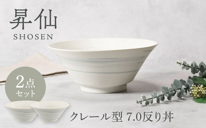 
                  【美濃焼】昇仙 しょうせん クレール型 7.0反り丼 2点セット【カネ定製陶】 [MEI230]
                