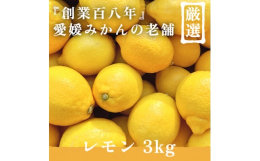 創業百八年 愛媛みかんの老舗＜レモン3kg＞家庭用＜新口農園厳選＞＜C70-20＞【1470687】