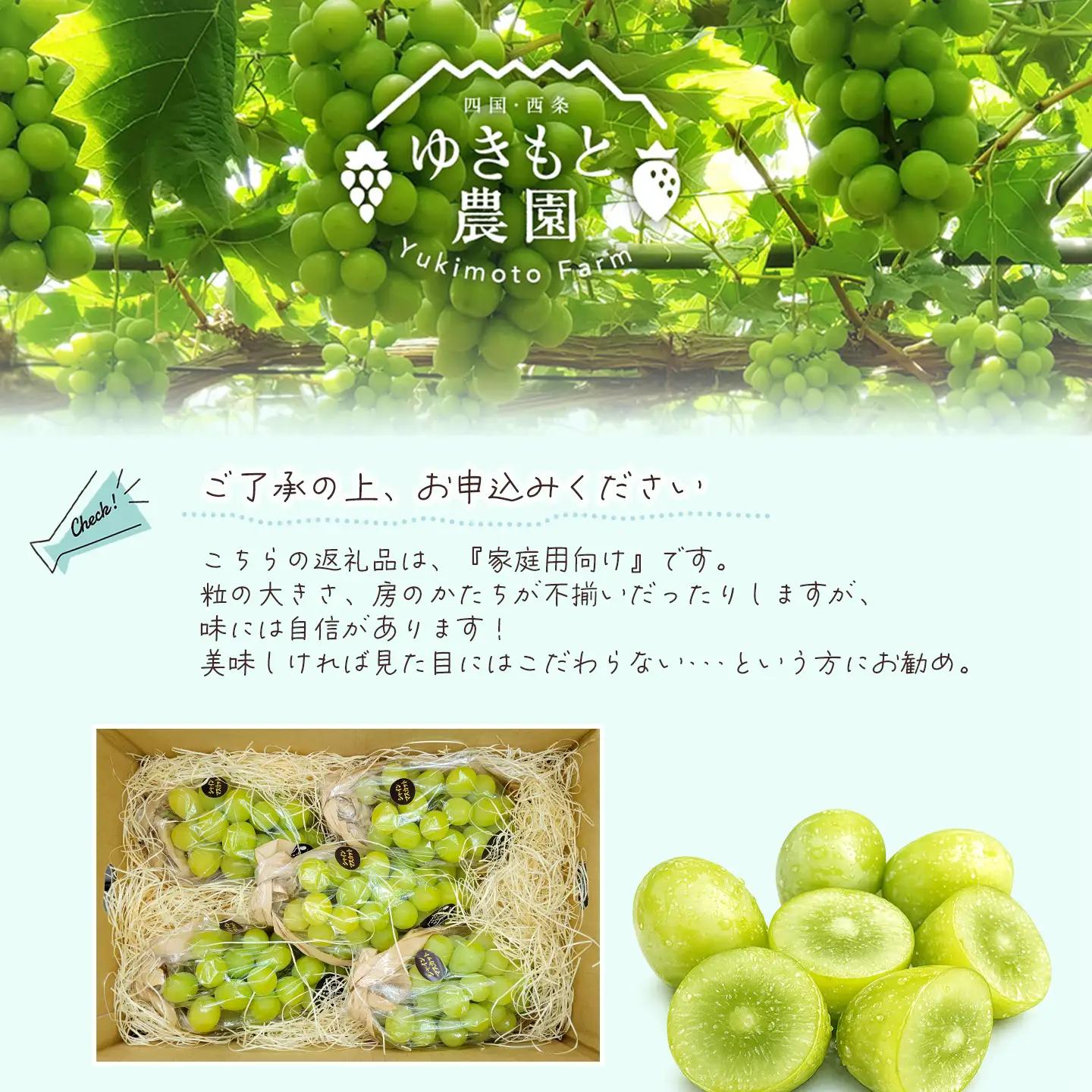 【家庭用バリュー】シャインマスカット 約2.0㎏（5～6房）シャインマスカット【8月～10月発送】