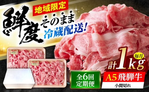 【6回定期便】 ※冷蔵配送/地域限定※ 飛騨牛 小間切 (大) 500g×2セット 瑞浪市 / きなぁた瑞浪 和牛 国産 岐阜県産 [AZCI072]