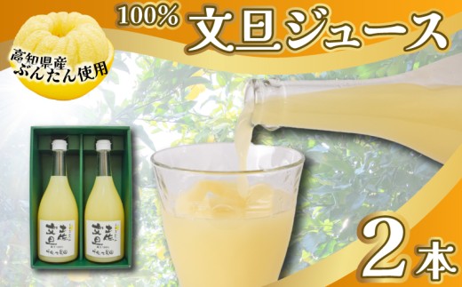 文旦 フレッシュ ジュース 2本セット 果汁 100％ ぶんたん 土佐文旦 高知県 柑橘 みかん 国産 ストレート ギフト 贈答用 720ml 2本 高知特産 フルーツジュース 濃厚 香り 甘味 苦み 農家直送 瓶詰め 果実本来 味 風味 太陽 南国 返礼品 安芸市 高知県