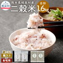 【ふるさと納税】＜選べる＞二穀米（紫黒米×もち麦） 合計1.6kg 800g×2袋セット 【箱入り】または【ご自宅用】 とよはら農園 雑穀 麦 もち麦 熊本県産 相良村産 送料無料