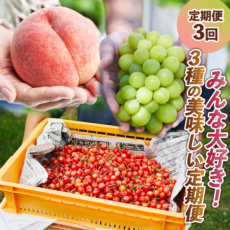 【定期便3回】みんな大好き！３種の美味しい果物定期便 FY24-088