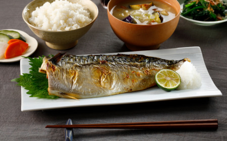 訳あり 食塩不使用 さば 3.5kg 【12月以降配送】 さば