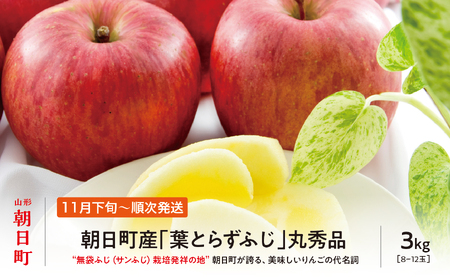 ＜ 先行予約 ＞ りんご 葉取らず ふじ 丸秀品 約 3kg 8～12玉 【2026年11月下旬から12月下旬発送】 山形県 朝日町産 山形県産 果物 フルーツ リンゴ 林檎 秋 冬