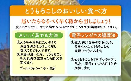【先行予約】黄金色で大粒 ゴールドラッシュ 8本 3.2kg (2025年8月下旬～発送開始予定)【 人気 北海道産 糖度 生 野菜 スイートコーン 産地直送 バーベキュー BBQ コーン 旬 お取り