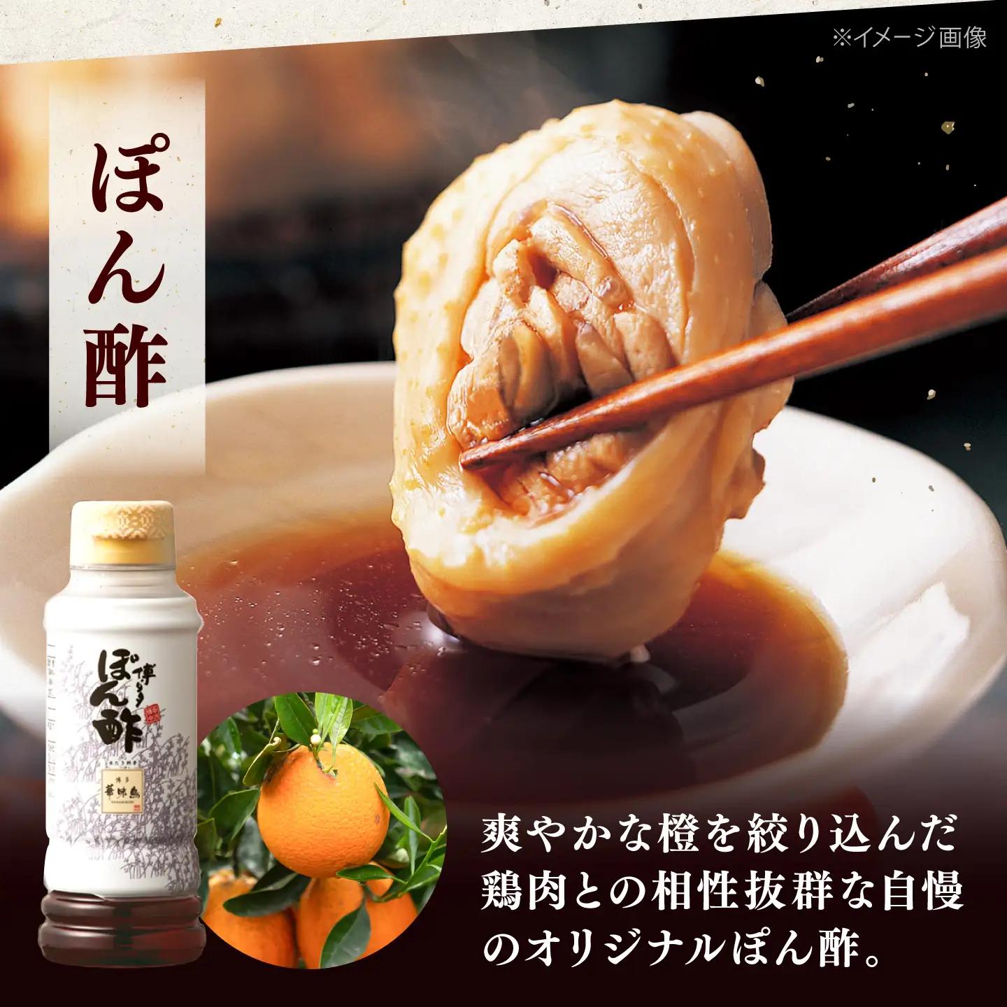 【全6回定期便】博多華味鳥 水炊き セット 3-4人前 （ぽん酢・柚胡椒付） 桂川町/トリゼンフーズ [ADBN005] 鶏 鍋 鍋セット お鍋 お取り寄せ 3人前 4人前 定期便
