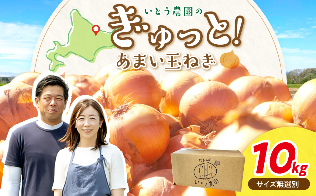 【予約：2026年9月下旬から順次発送】いとう農園の玉ねぎ 10kg ( 玉葱 タマネギ 野菜 期間限定 数量限定 10キロ )【181-0002-2026】