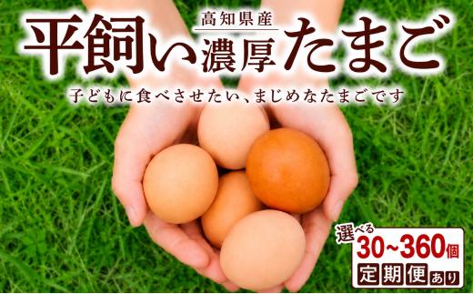 土佐ジロー10個×3P (4回) うらにわ自然たまご園