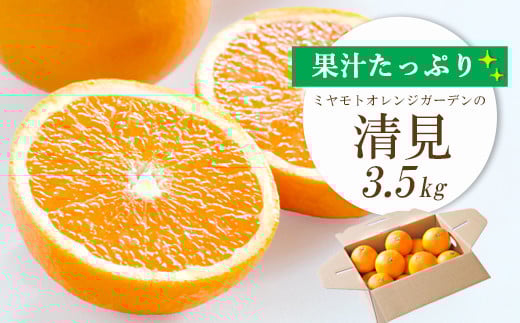 
            ＜2025年4月上旬以降発送＞果汁たっぷり ジューシー清見3.5kg＜C25-129＞【1044409】
          