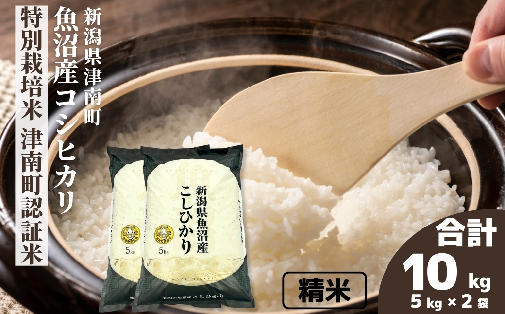 【令和7年産】魚沼産コシヒカリ 特別栽培米 津南町認証米 10kg(5kg×2袋) 新潟県 津南町 大阪屋商店 129404-019